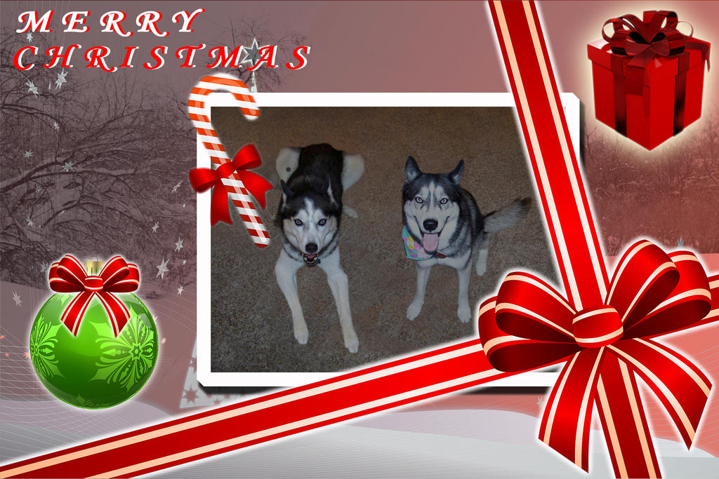 enlarged Dog Christmas Card photo